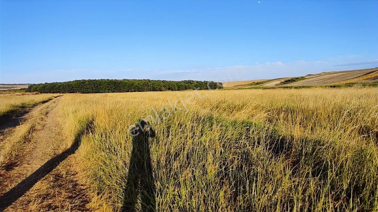 Emlakyap Tan Kanal İstanbul A Cephe 7814 M2 Satılık Arsa - Görsel 12