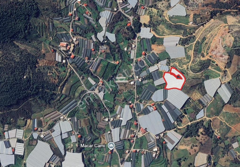 Macar'da 11.590 M² Hazır Kurulu Düzen Kapalı Muz Serası - Görsel 6