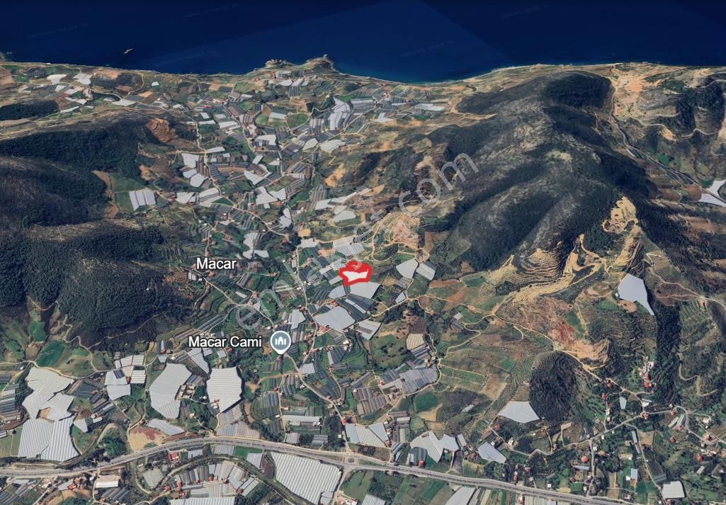 Macar'da 11.590 M² Hazır Kurulu Düzen Kapalı Muz Serası - Görsel 3