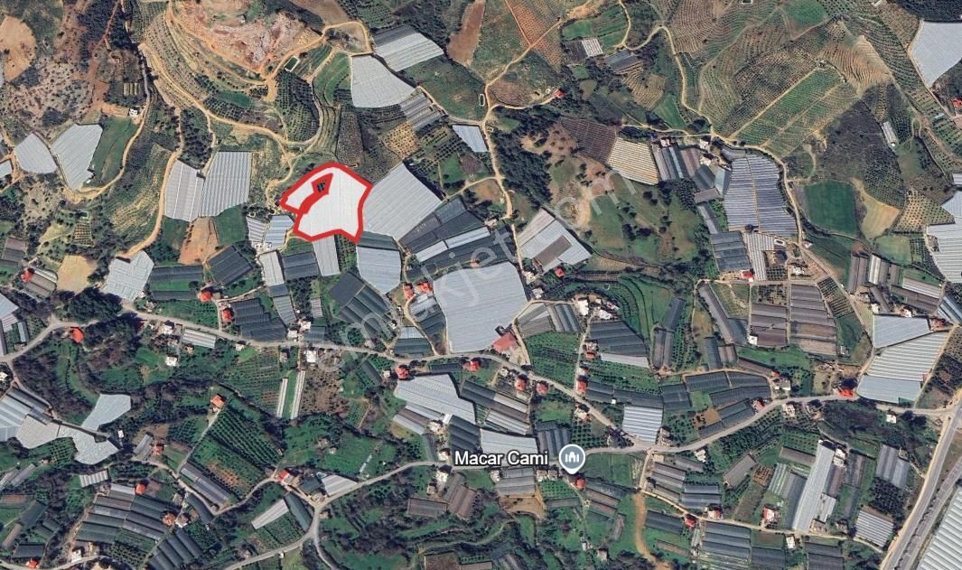 Macar'da 11.590 M² Hazır Kurulu Düzen Kapalı Muz Serası - Görsel 2