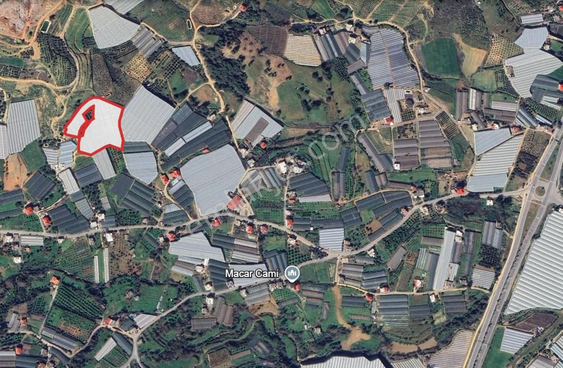 Macar'da 11.590 M² Hazır Kurulu Düzen Kapalı Muz Serası - Görsel 4