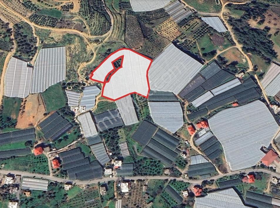 Macar'da 11.590 M² Hazır Kurulu Düzen Kapalı Muz Serası