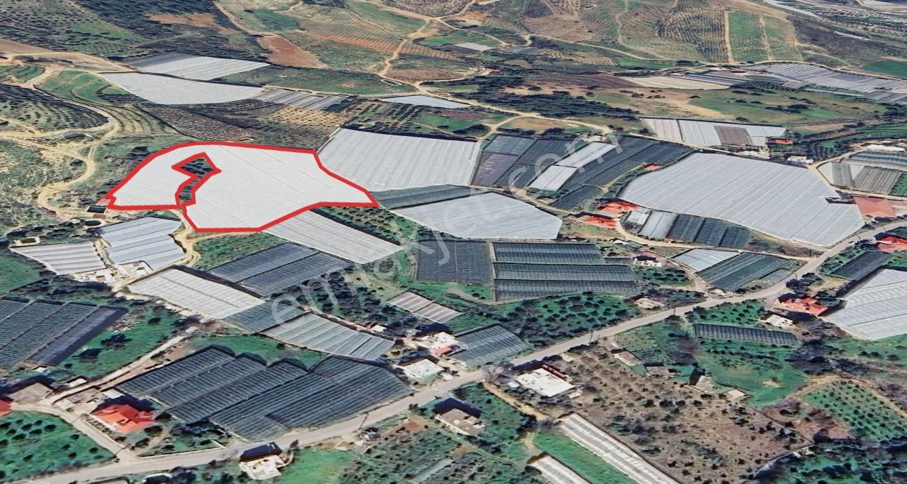 Macar'da 11.590 M² Hazır Kurulu Düzen Kapalı Muz Serası - Görsel 7