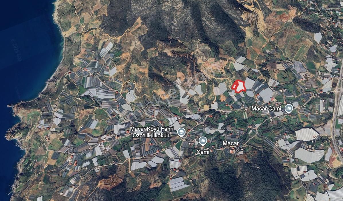 Macar'da 11.590 M² Hazır Kurulu Düzen Kapalı Muz Serası - Görsel 5