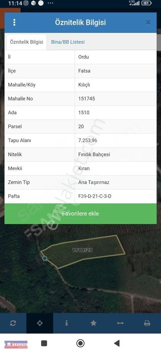 Fatsa Kılıçlı Da 7 Dönüm Satılık Fındık Bahçesi - Görsel 5