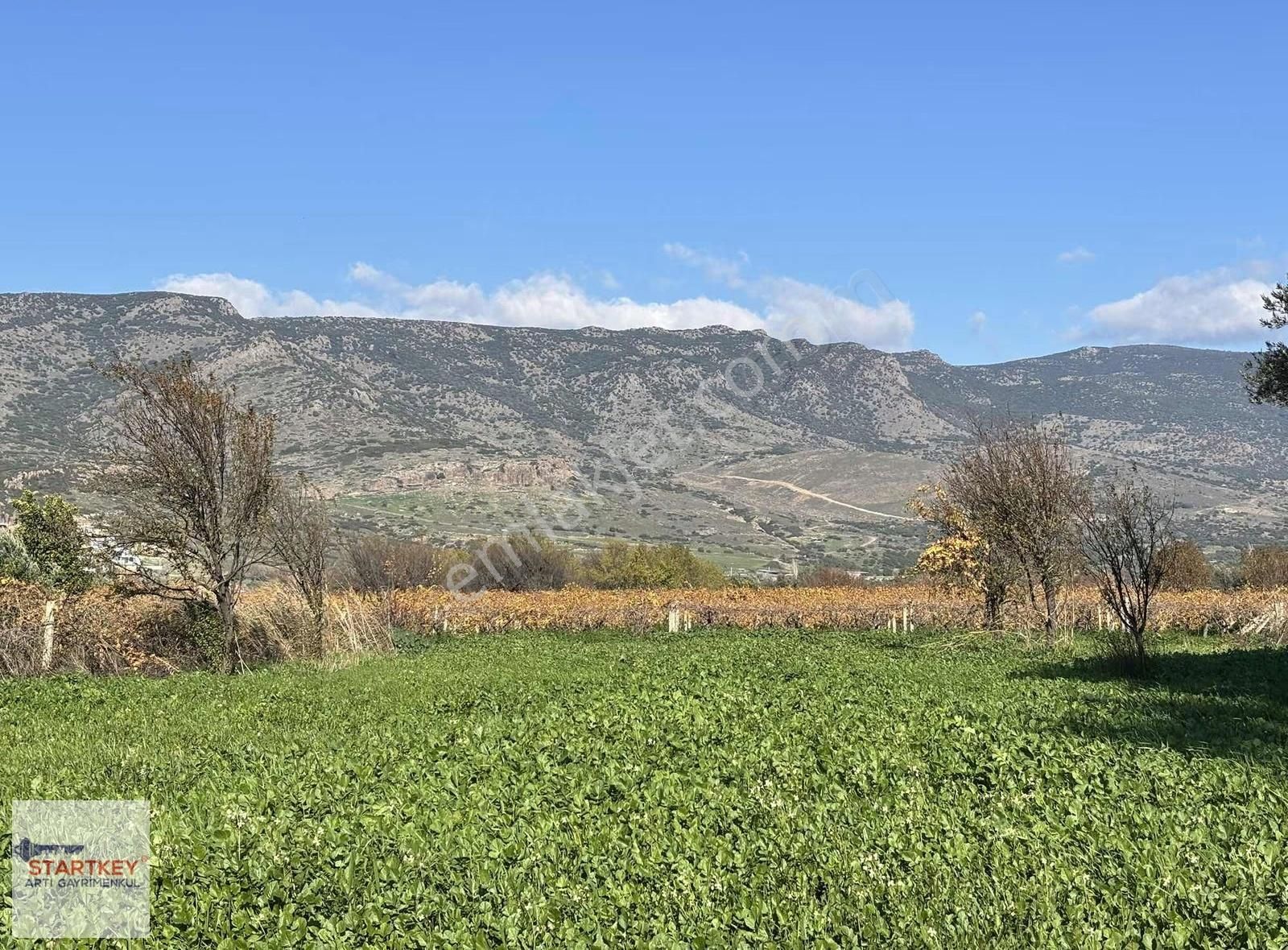 Menemen Haykıran Mahallesinde Müstakil Tapulu Bağ - Görsel 2