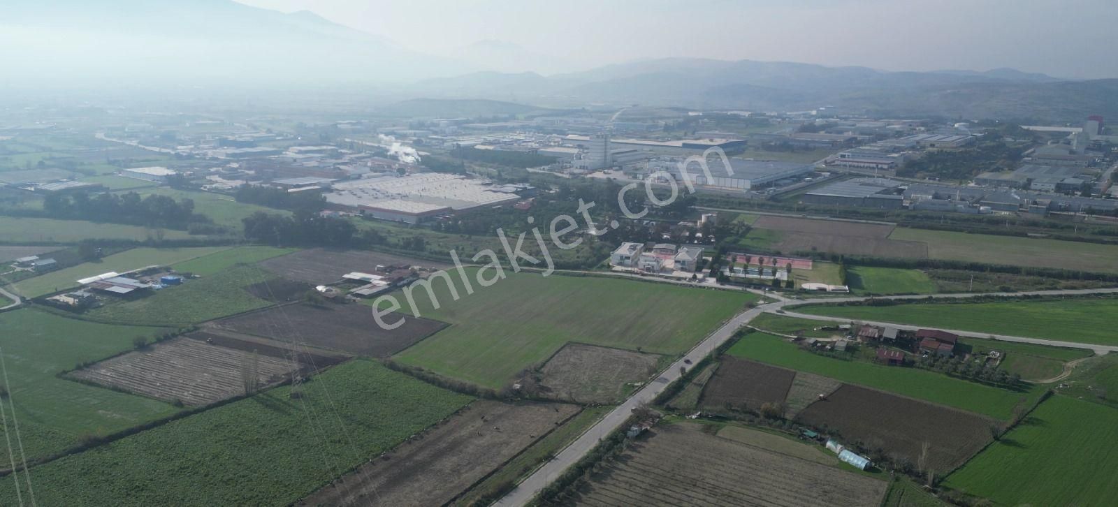 İzmir / Tire Osb 28.595m2 Fırsat Tarla - Tarım Depo Alanı Kullanıma Uygun - Görsel 7