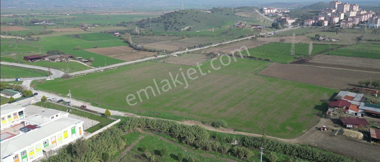 İzmir / Tire Osb 28.595m2 Fırsat Tarla - Tarım Depo Alanı Kullanıma Uygun - Görsel 13