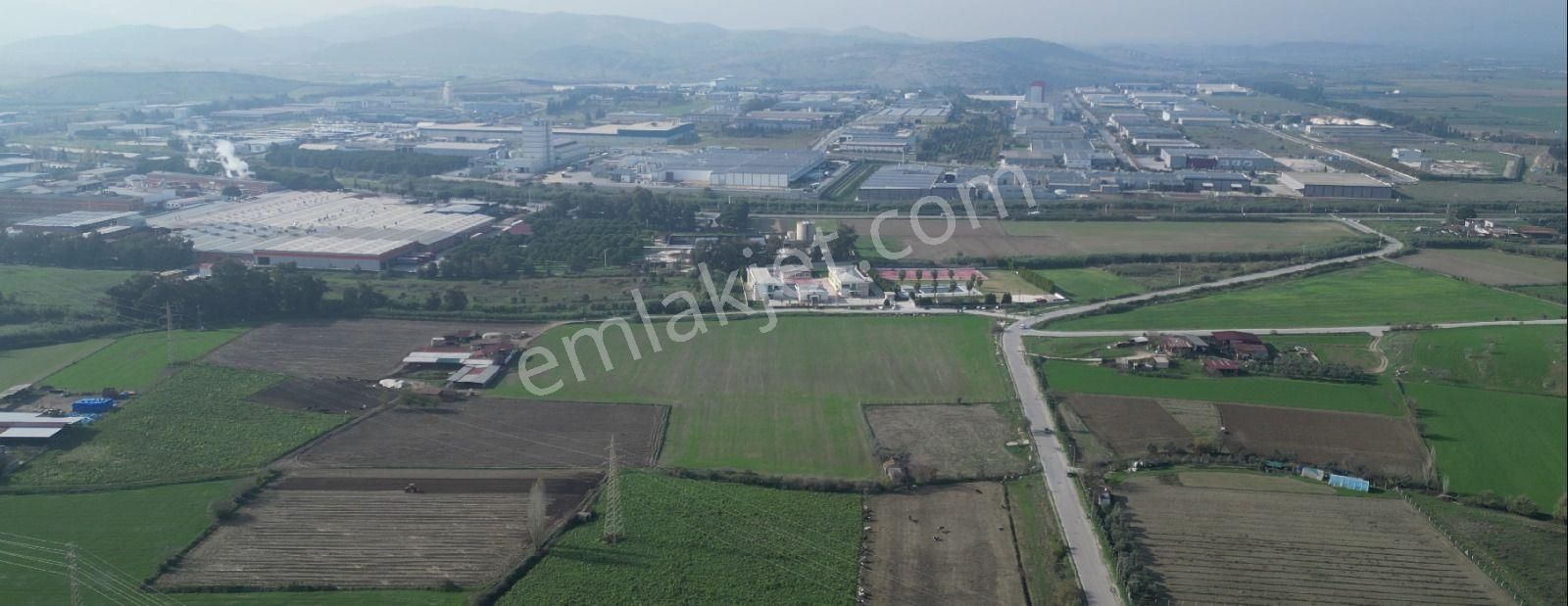 İzmir / Tire Osb 28.595m2 Fırsat Tarla - Tarım Depo Alanı Kullanıma Uygun - Görsel 15