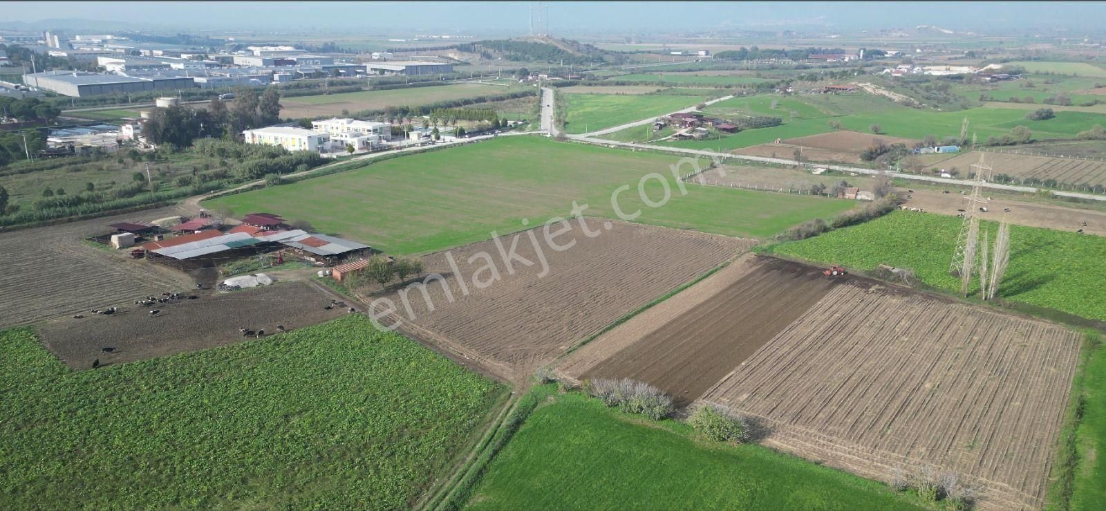 İzmir / Tire Osb 28.595m2 Fırsat Tarla - Tarım Depo Alanı Kullanıma Uygun - Görsel 6