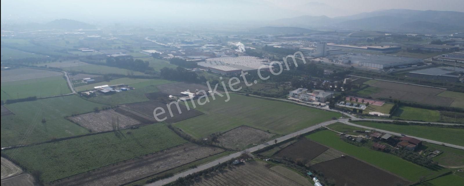 İzmir / Tire Osb 28.595m2 Fırsat Tarla - Tarım Depo Alanı Kullanıma Uygun - Görsel 2