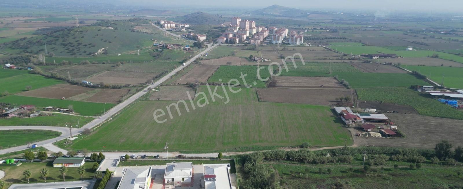 İzmir / Tire Osb 28.595m2 Fırsat Tarla - Tarım Depo Alanı Kullanıma Uygun - Görsel 3