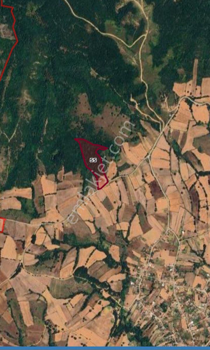 Çanakkale Çan Bozguç Köyünde Satılık Tarla - Görsel 2