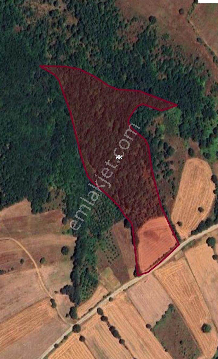 Çanakkale Çan Bozguç Köyünde Satılık Tarla