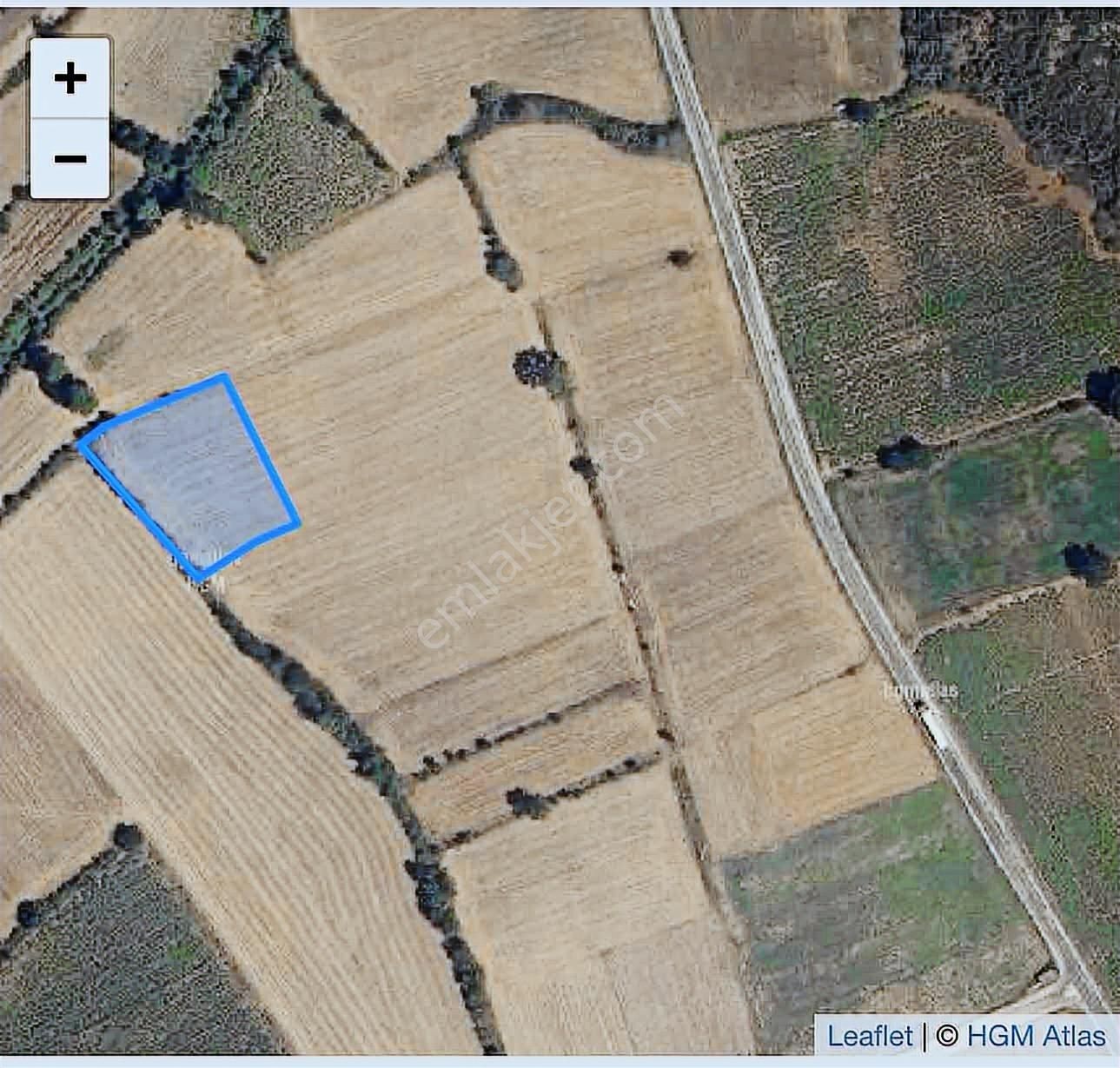 Bursa Yenişehir Burcun Da Satılık Tarla