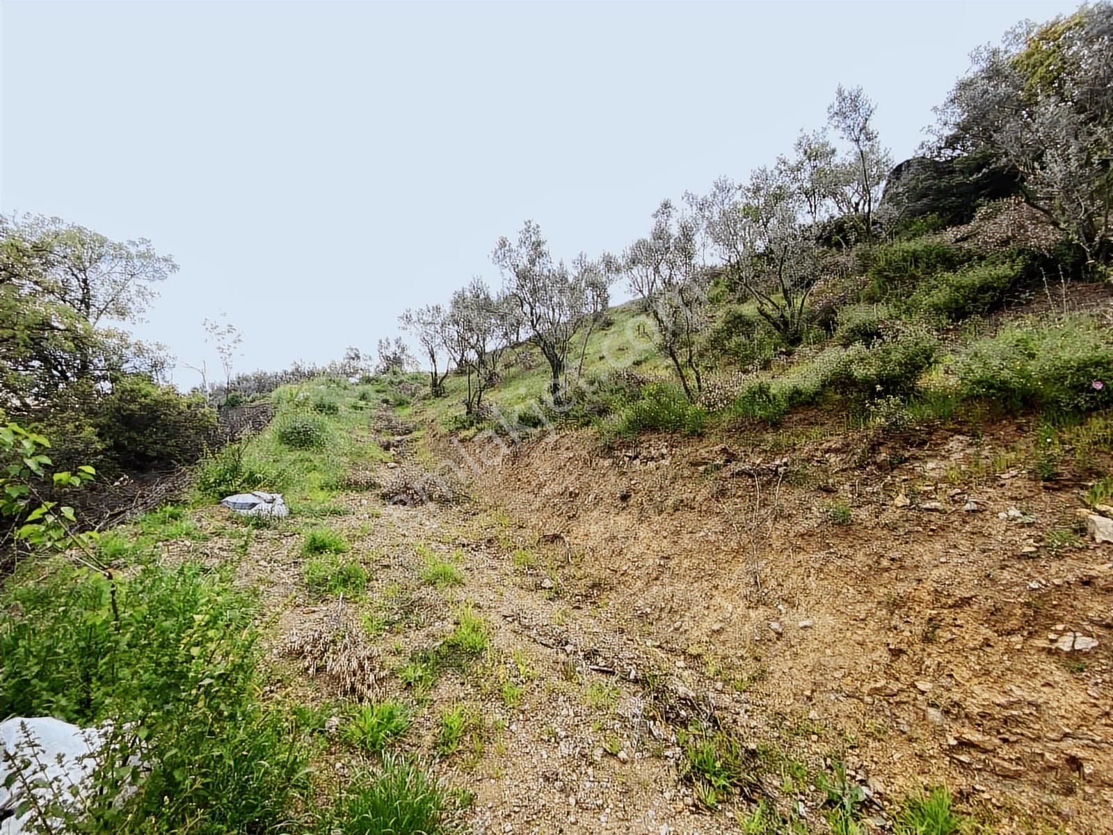Çataltepe Köyünde Eşsiz Manzara İster 275m2 İster 549m2 - Görsel 8