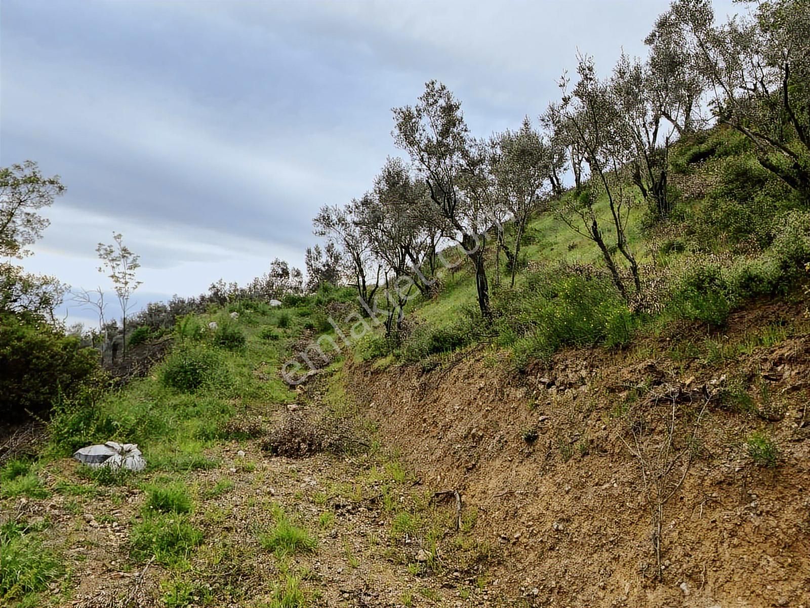 Çataltepe Köyünde Eşsiz Manzara İster 275m2 İster 549m2 - Görsel 7