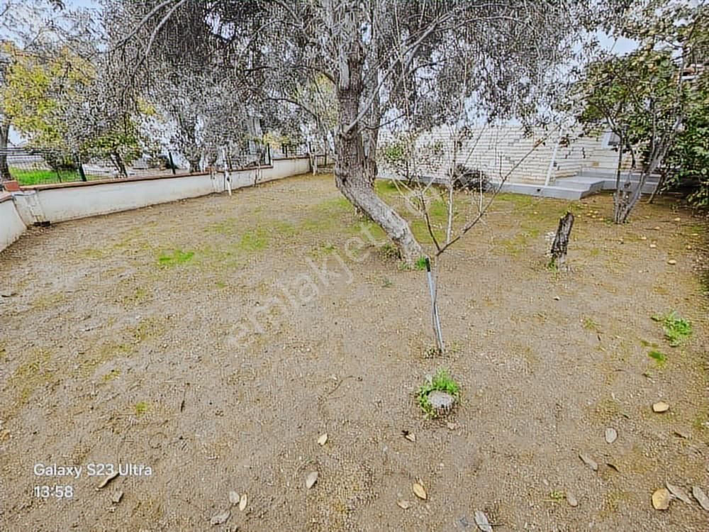 Eu Gayrimenkulden 350 Metrekare Arsa İçinde Tek Müstakil Villa - Görsel 14