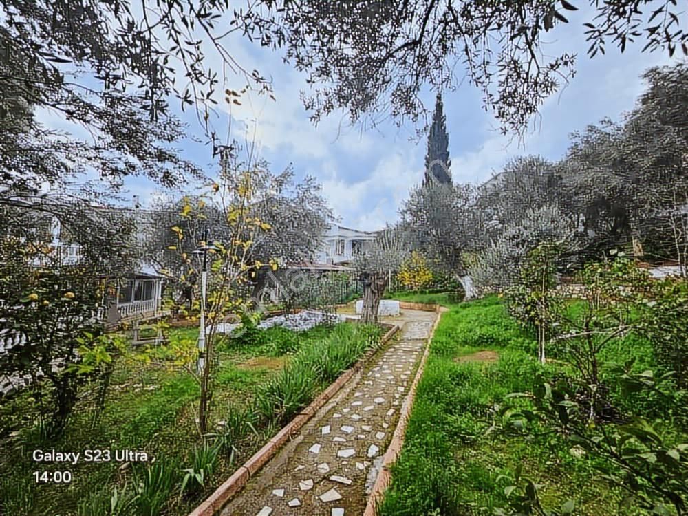 Eu Gayrimenkulden 350 Metrekare Arsa İçinde Tek Müstakil Villa - Görsel 32