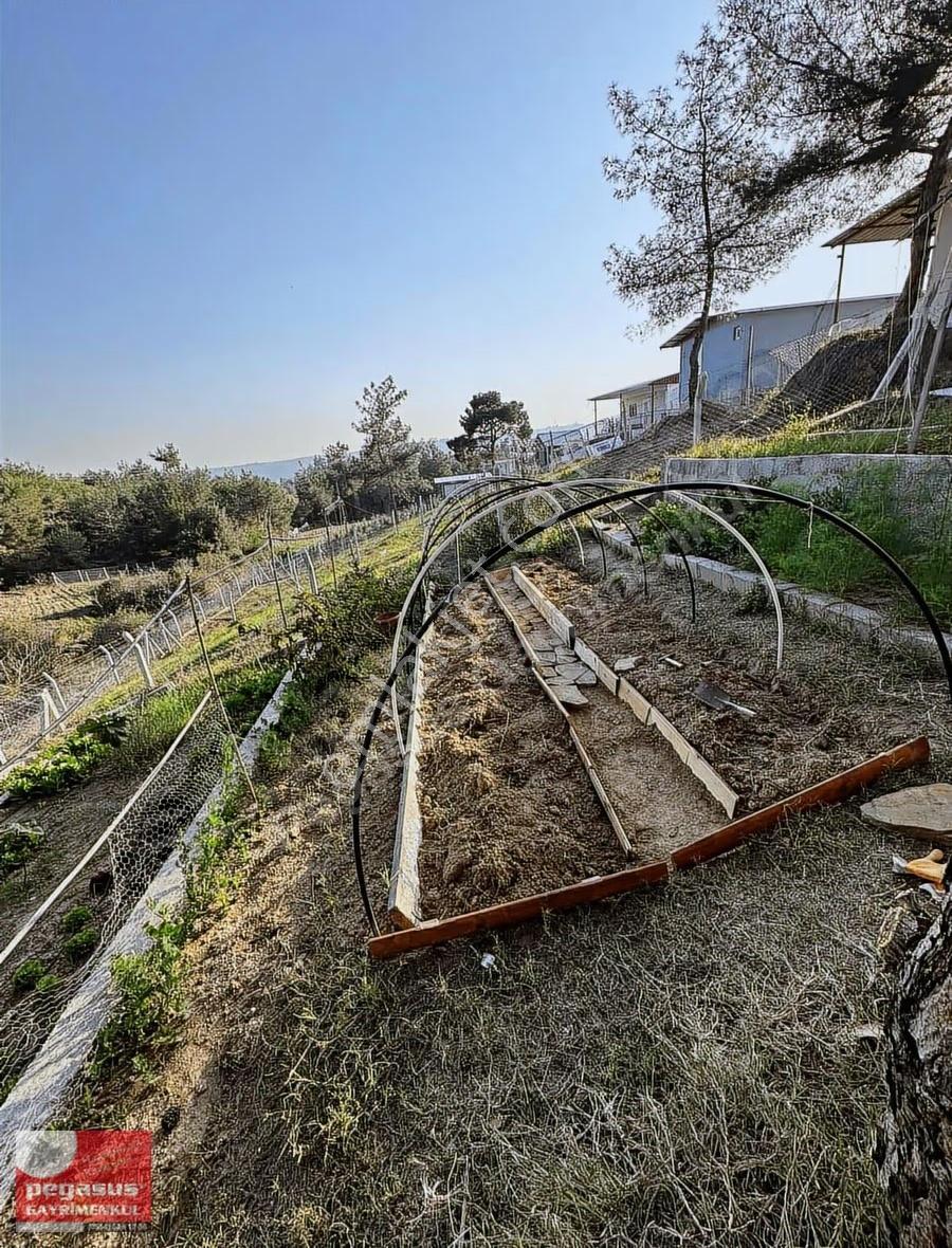 Pegasus'tan Adana Çukurova Pirili Mh.nde Taş Ve Ahşap Villa - Görsel 7