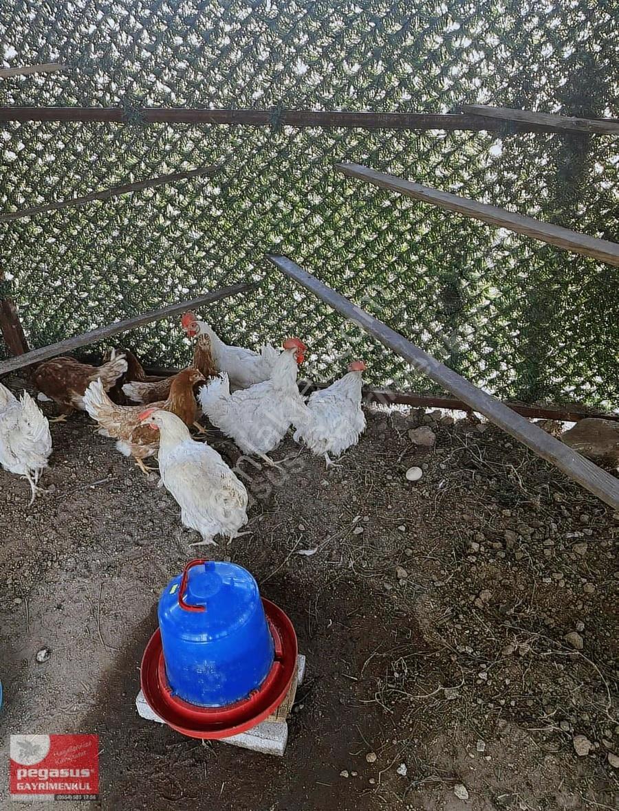 Pegasus'tan Adana Çukurova Pirili Mh.nde Taş Ve Ahşap Villa - Görsel 10