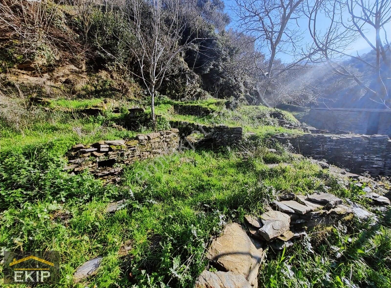 Derekahve Üzeri İçinde Kargır Evı Olan Satılık Bahçe - Görsel 4