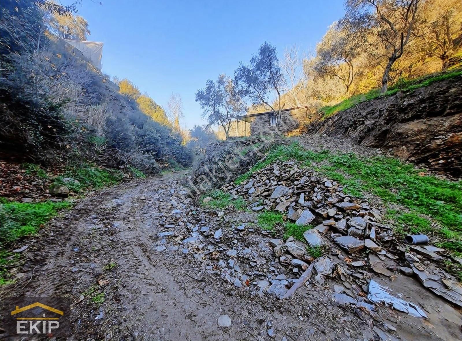 Derekahve Üzeri İçinde Kargır Evı Olan Satılık Bahçe - Görsel 9