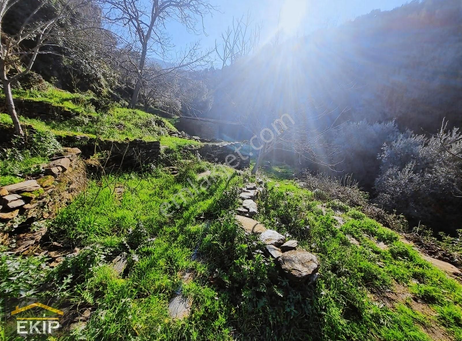 Derekahve Üzeri İçinde Kargır Evı Olan Satılık Bahçe - Görsel 17