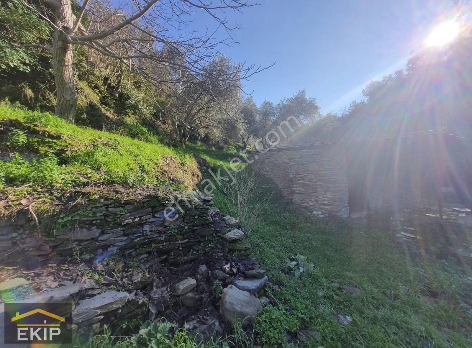 Derekahve Üzeri İçinde Kargır Evı Olan Satılık Bahçe - Görsel 18