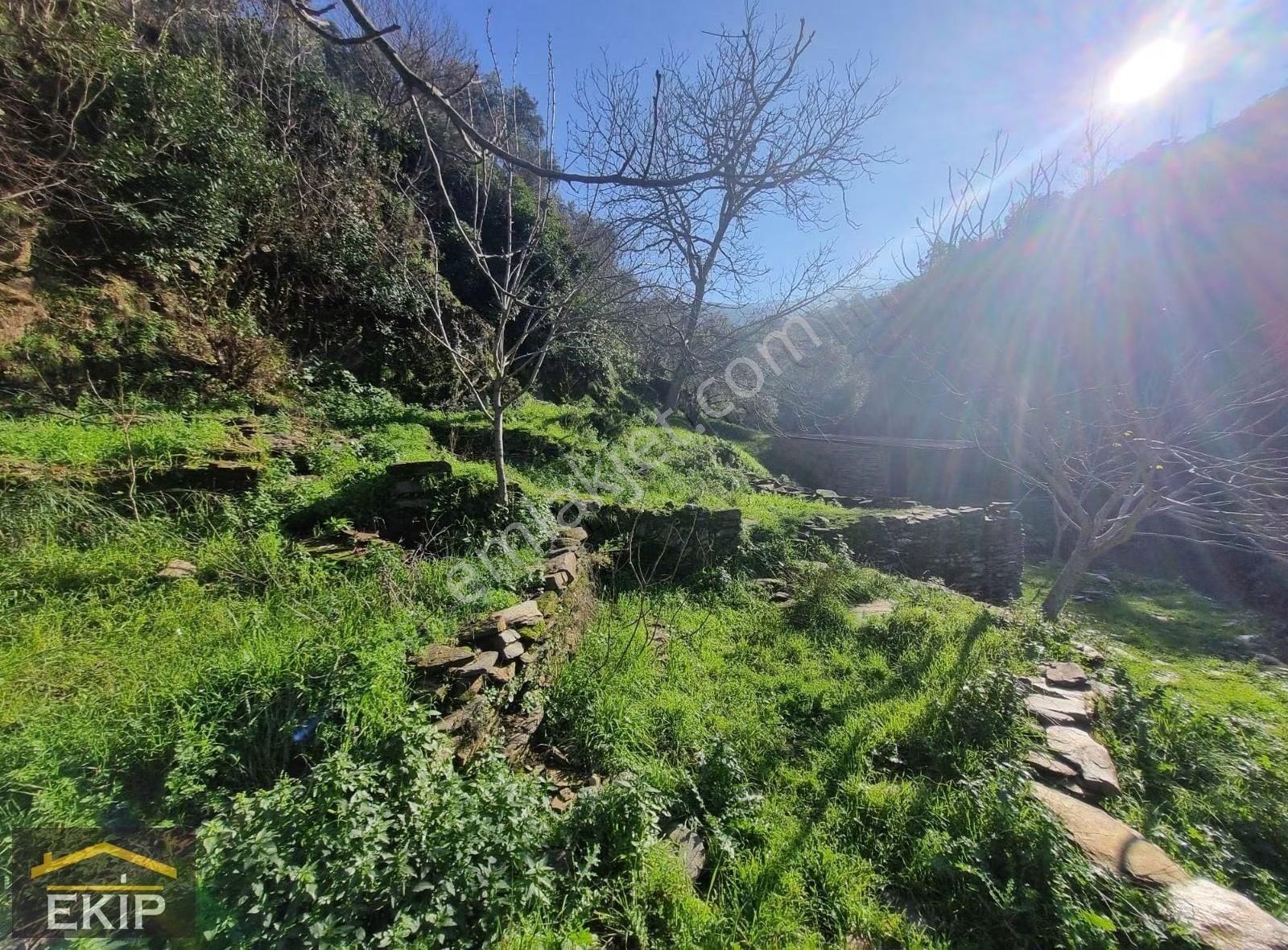 Derekahve Üzeri İçinde Kargır Evı Olan Satılık Bahçe - Görsel 8