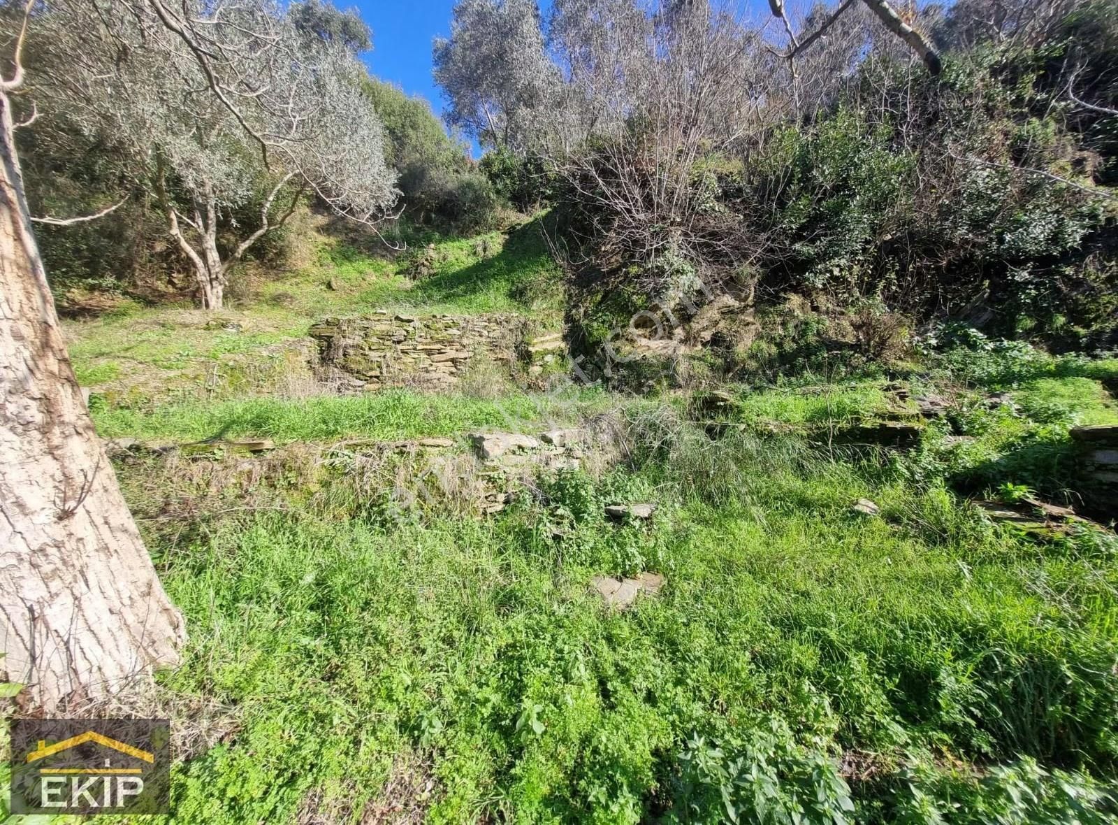 Derekahve Üzeri İçinde Kargır Evı Olan Satılık Bahçe - Görsel 11