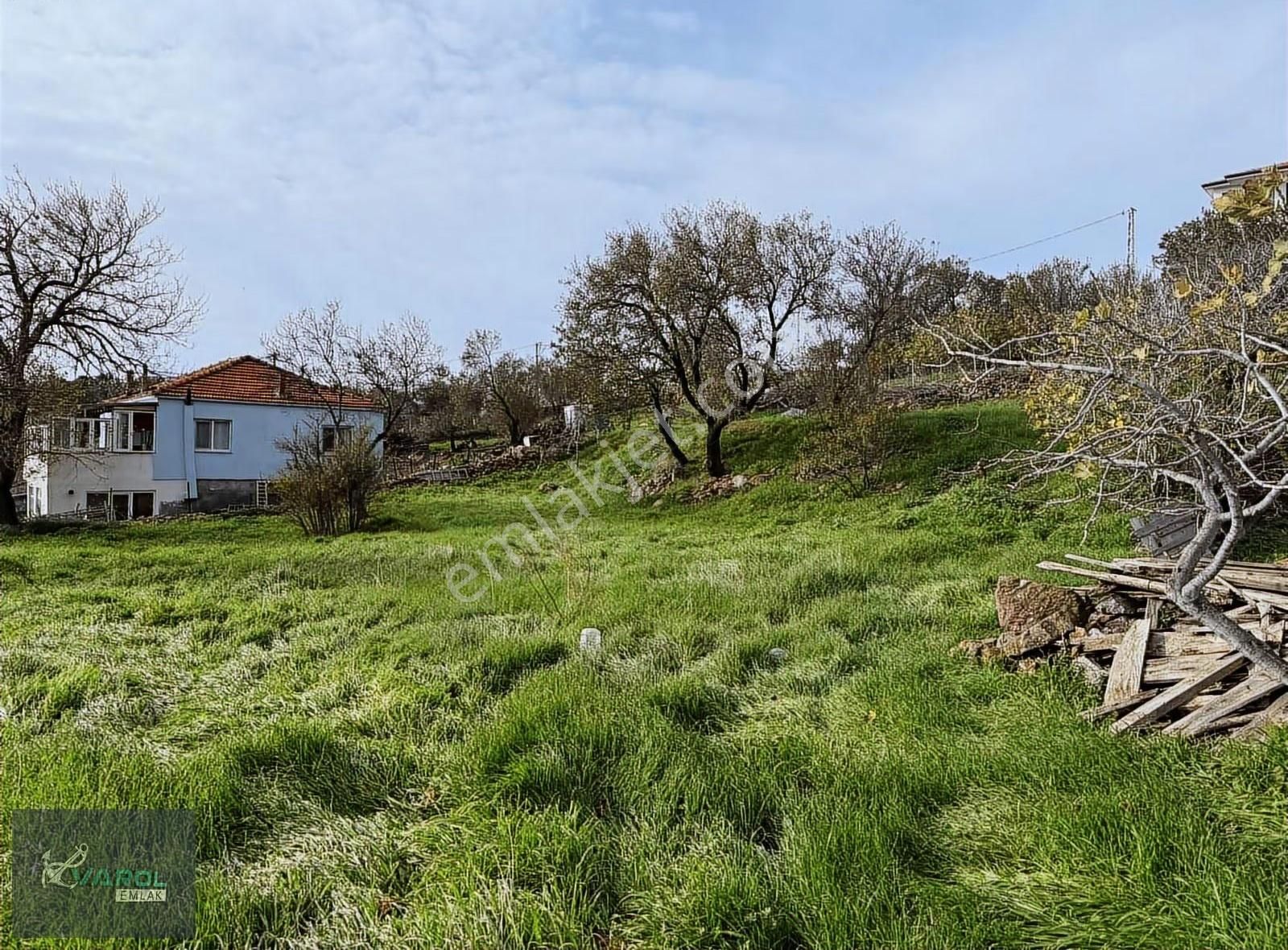 Çamköy Köyünde Asfalt Yola Cepheli Doğa Manzaralı 1 Dönüm Arsa - Görsel 22