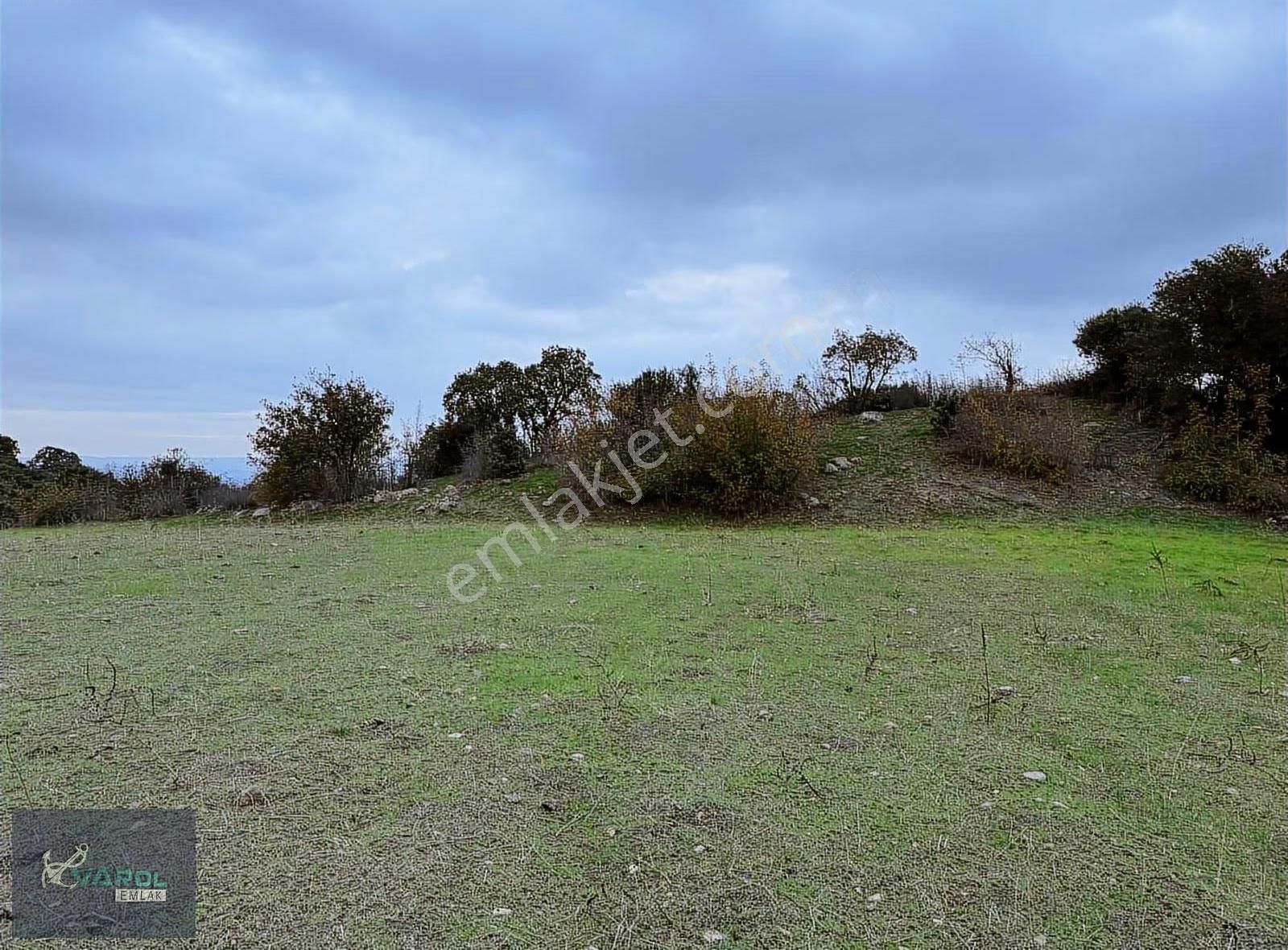 Süleyman Köyde 9000m² Kadastro Yolu Olan Tarla - Görsel 30