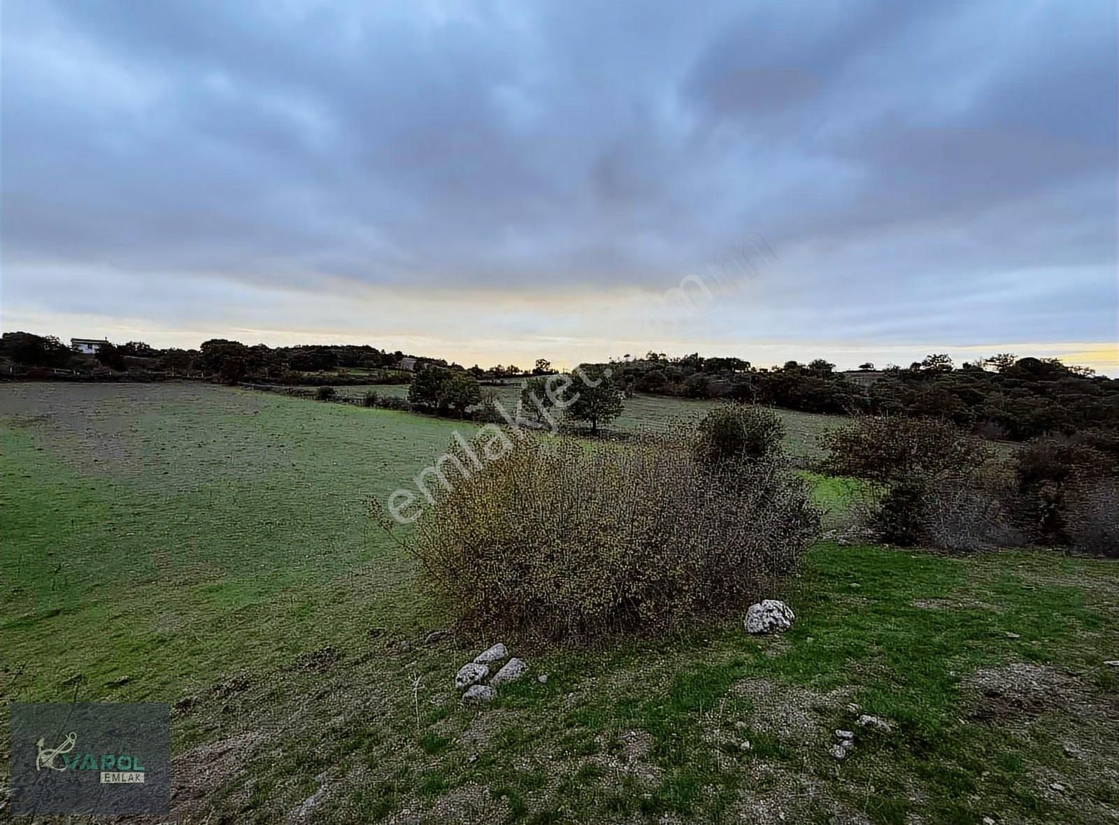 Süleyman Köyde 9000m² Kadastro Yolu Olan Tarla - Görsel 7