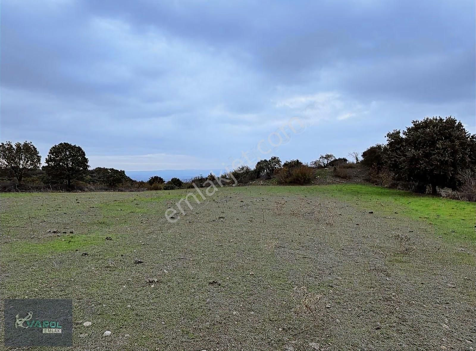 Süleyman Köyde 9000m² Kadastro Yolu Olan Tarla - Görsel 13
