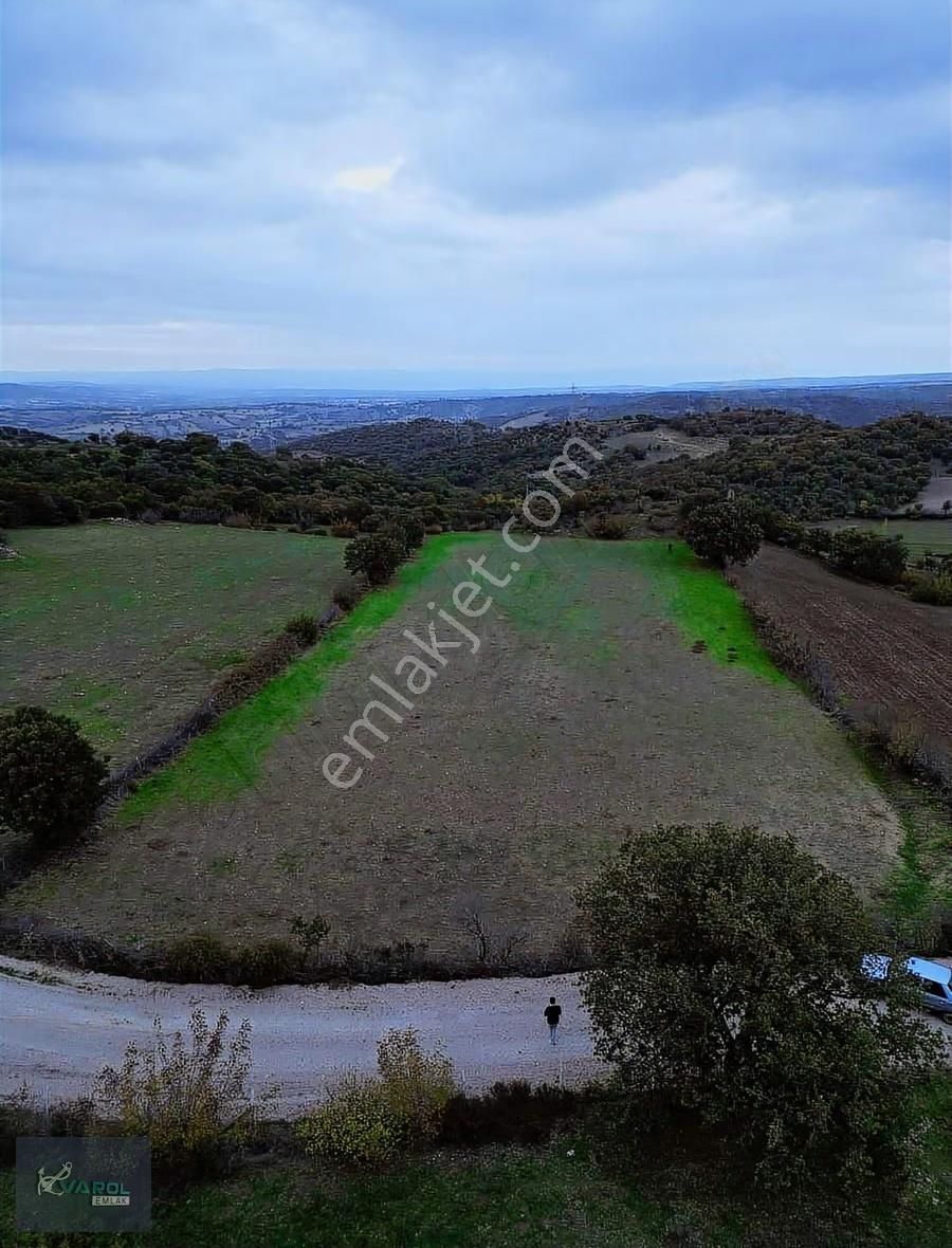 Süleyman Köyde 9000m² Kadastro Yolu Olan Tarla - Görsel 35