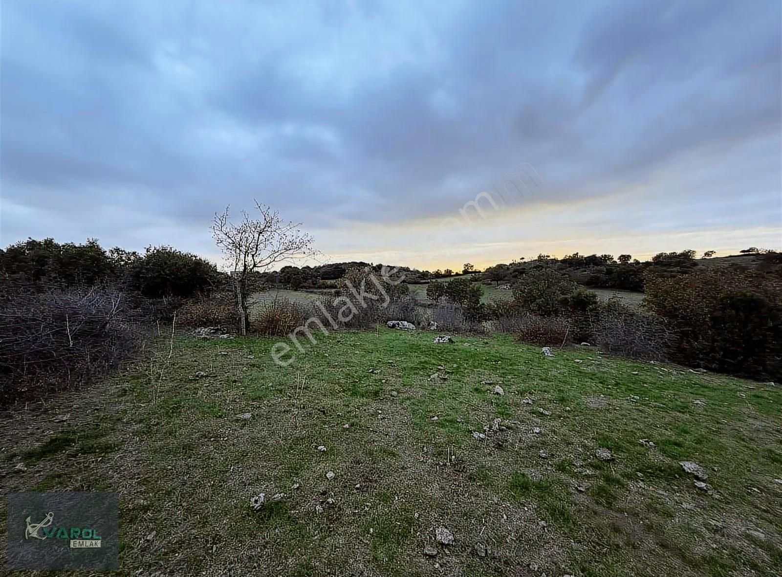 Süleyman Köyde 9000m² Kadastro Yolu Olan Tarla - Görsel 14