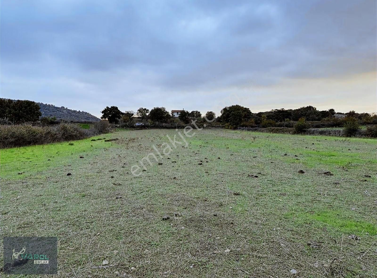 Süleyman Köyde 9000m² Kadastro Yolu Olan Tarla - Görsel 5