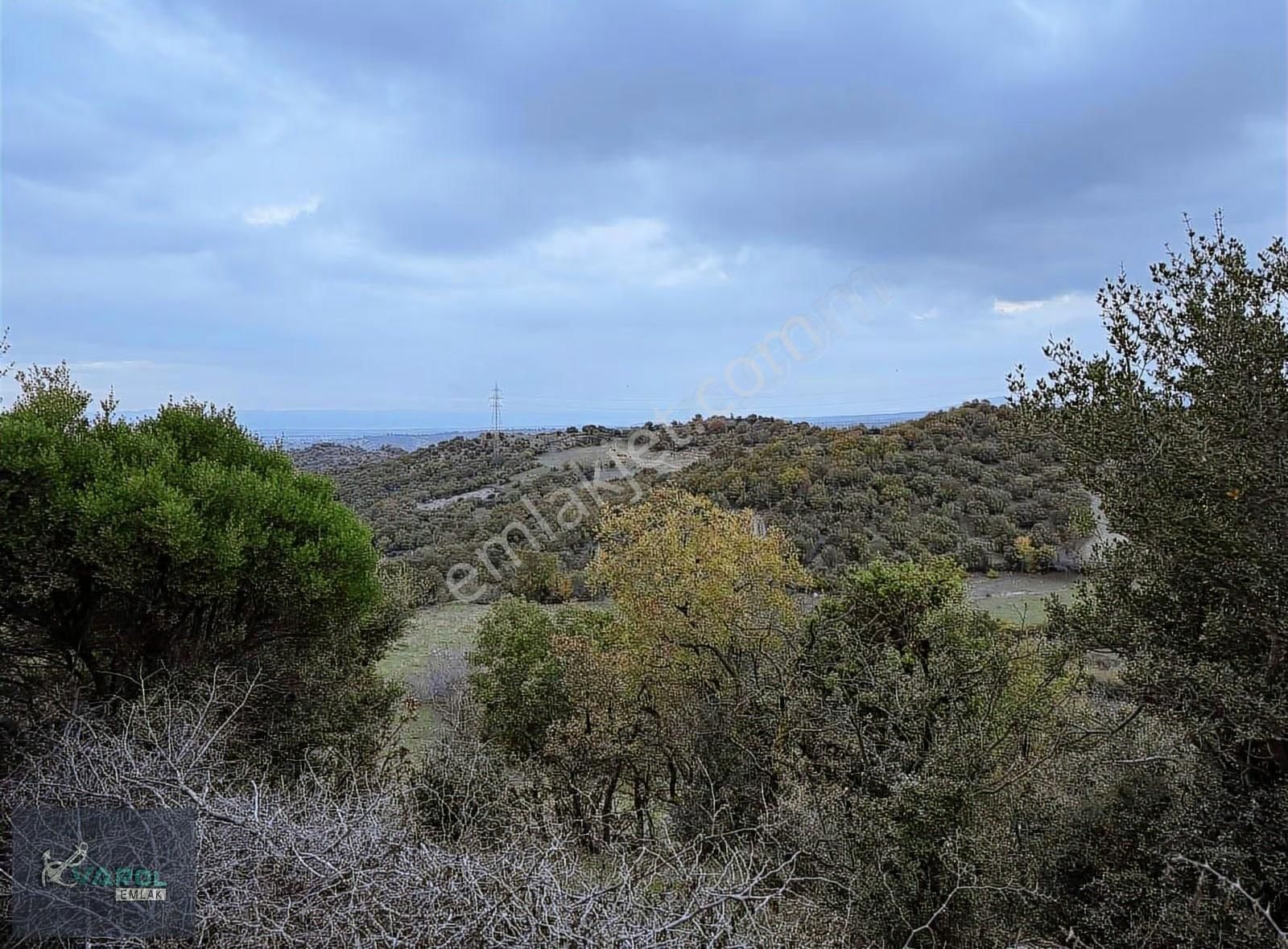 Süleyman Köyde 9000m² Kadastro Yolu Olan Tarla - Görsel 3