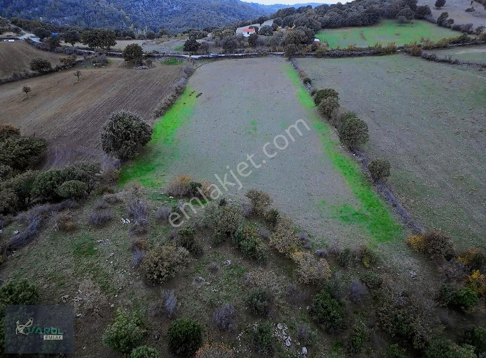 Süleyman Köyde 9000m² Kadastro Yolu Olan Tarla - Görsel 29