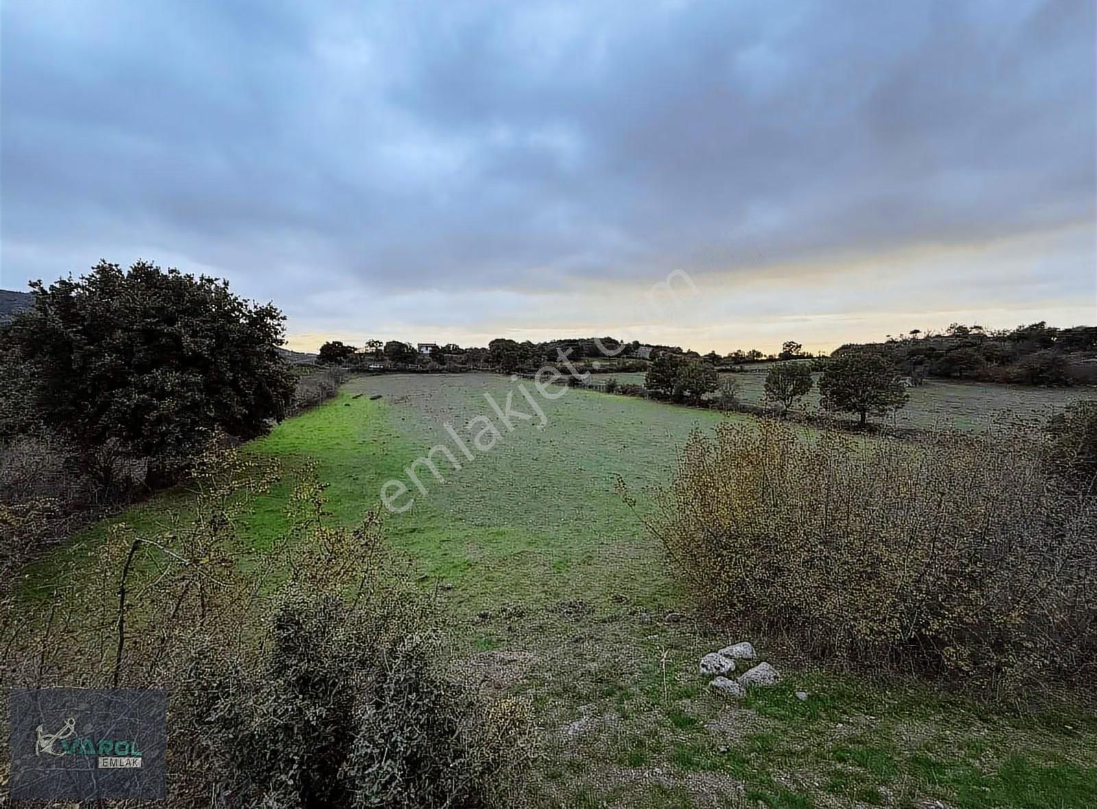 Süleyman Köyde 9000m² Kadastro Yolu Olan Tarla - Görsel 12