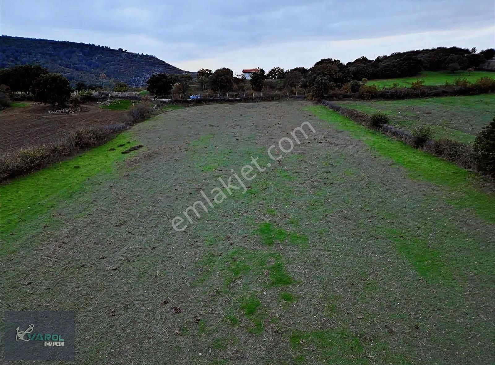 Süleyman Köyde 9000m² Kadastro Yolu Olan Tarla - Görsel 22