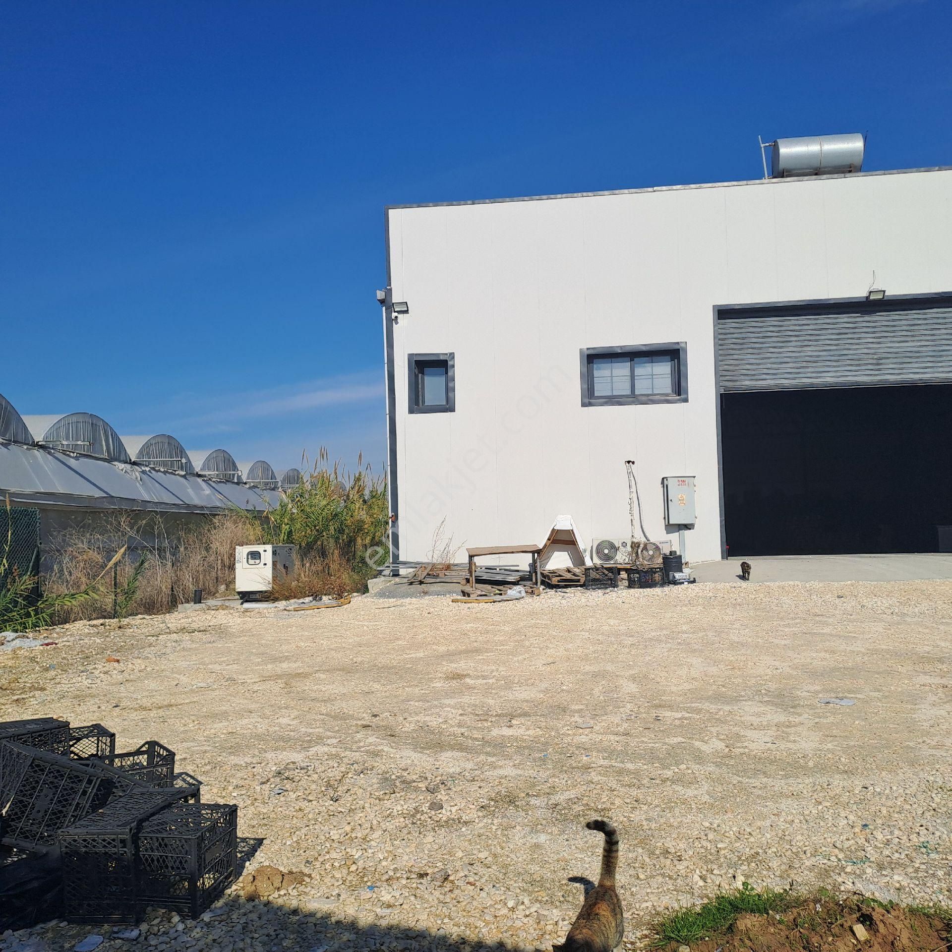 Asya'dan Kazanlı Sahil 8 Dönüm Arazisi Ve Kapalı İşyeri - Görsel 8