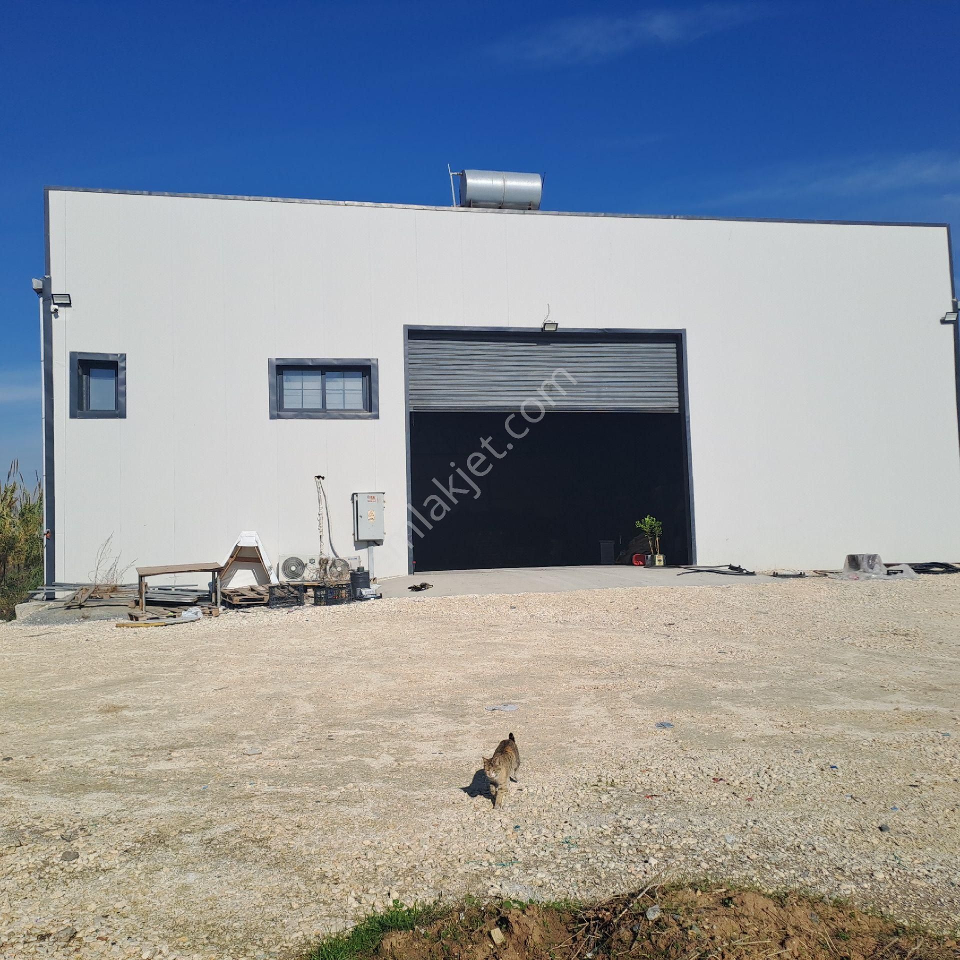 Asya'dan Kazanlı Sahil 8 Dönüm Arazisi Ve Kapalı İşyeri - Görsel 9