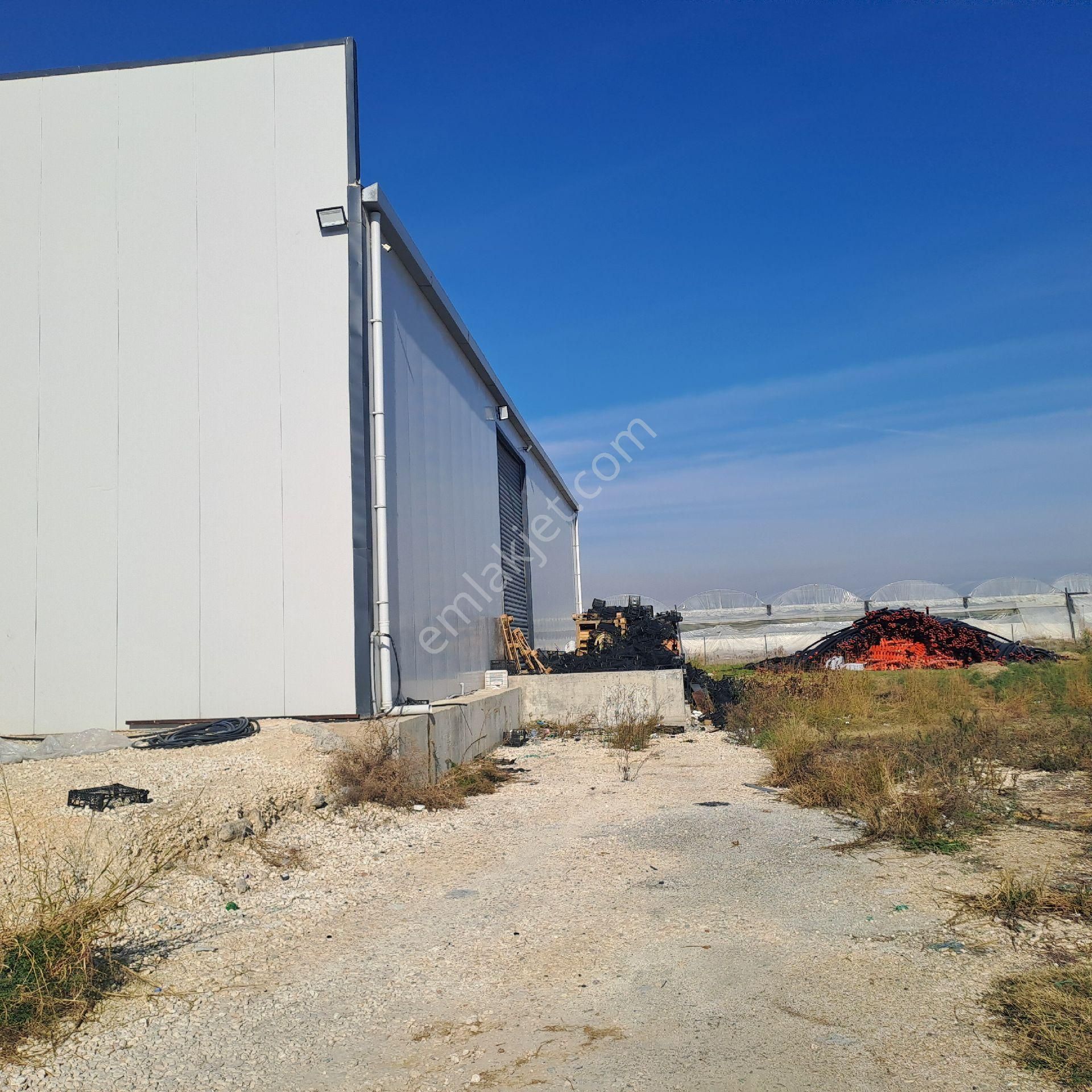 Asya'dan Kazanlı Sahil 8 Dönüm Arazisi Ve Kapalı İşyeri - Görsel 7