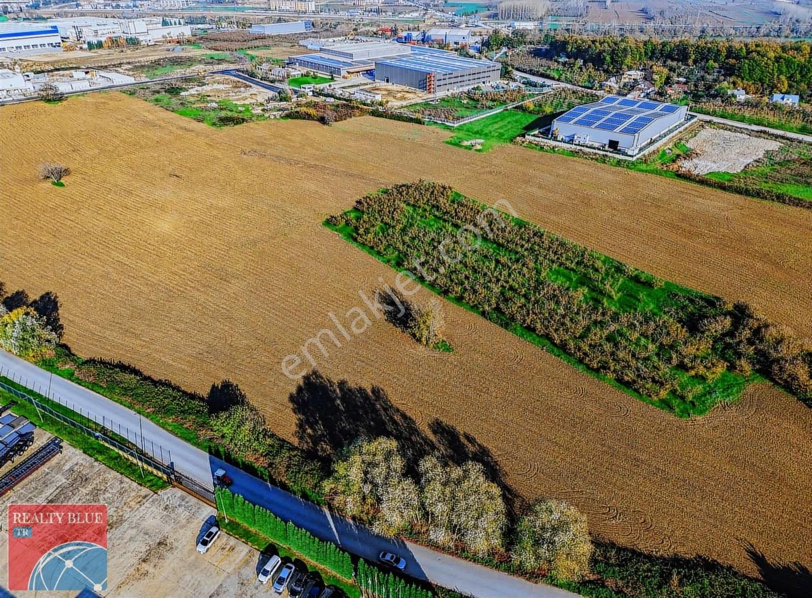 Sakarya Akyazı'da Sanayi Ve Lojistik 1.0 İmarlı Stratejik Arsa - Görsel 15