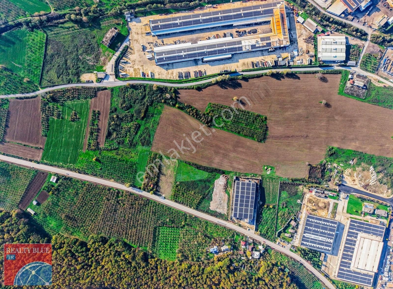 Sakarya Akyazı'da Sanayi Ve Lojistik 1.0 İmarlı Stratejik Arsa - Görsel 8