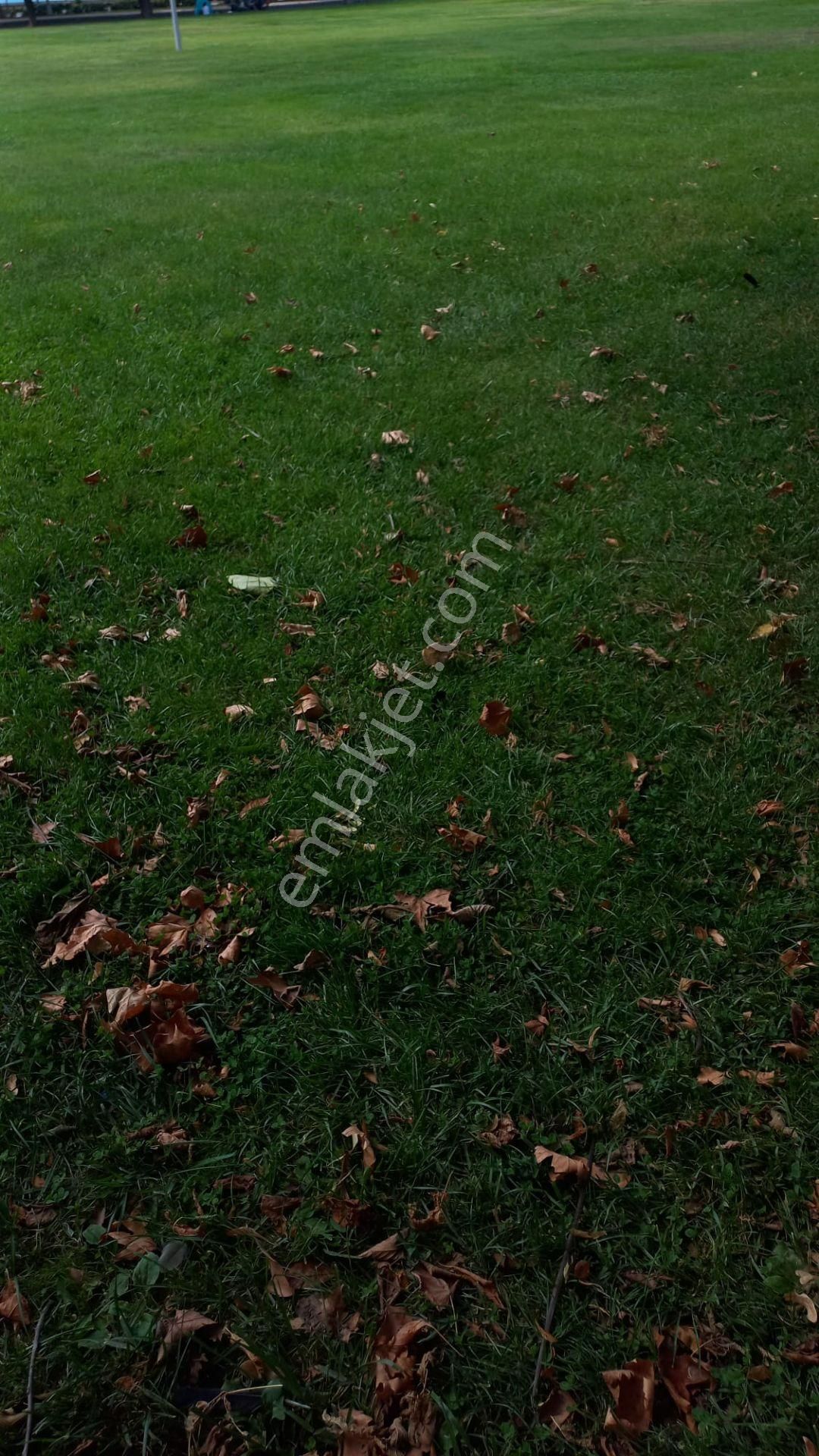 Pendik Sapanbağlarda % 50 Kat Karşılığı Deniz Manzaralı Düşeş Arsa No:142