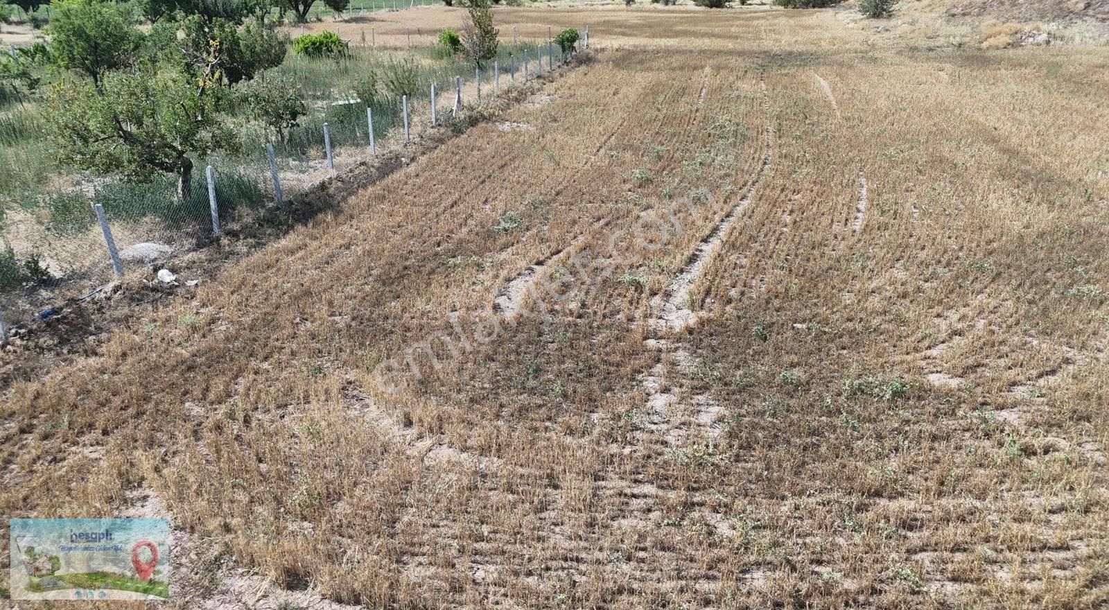 Konya / Akören / Tülce Mahallesinde 1.595 M² Müstakil Tapulu Bağ