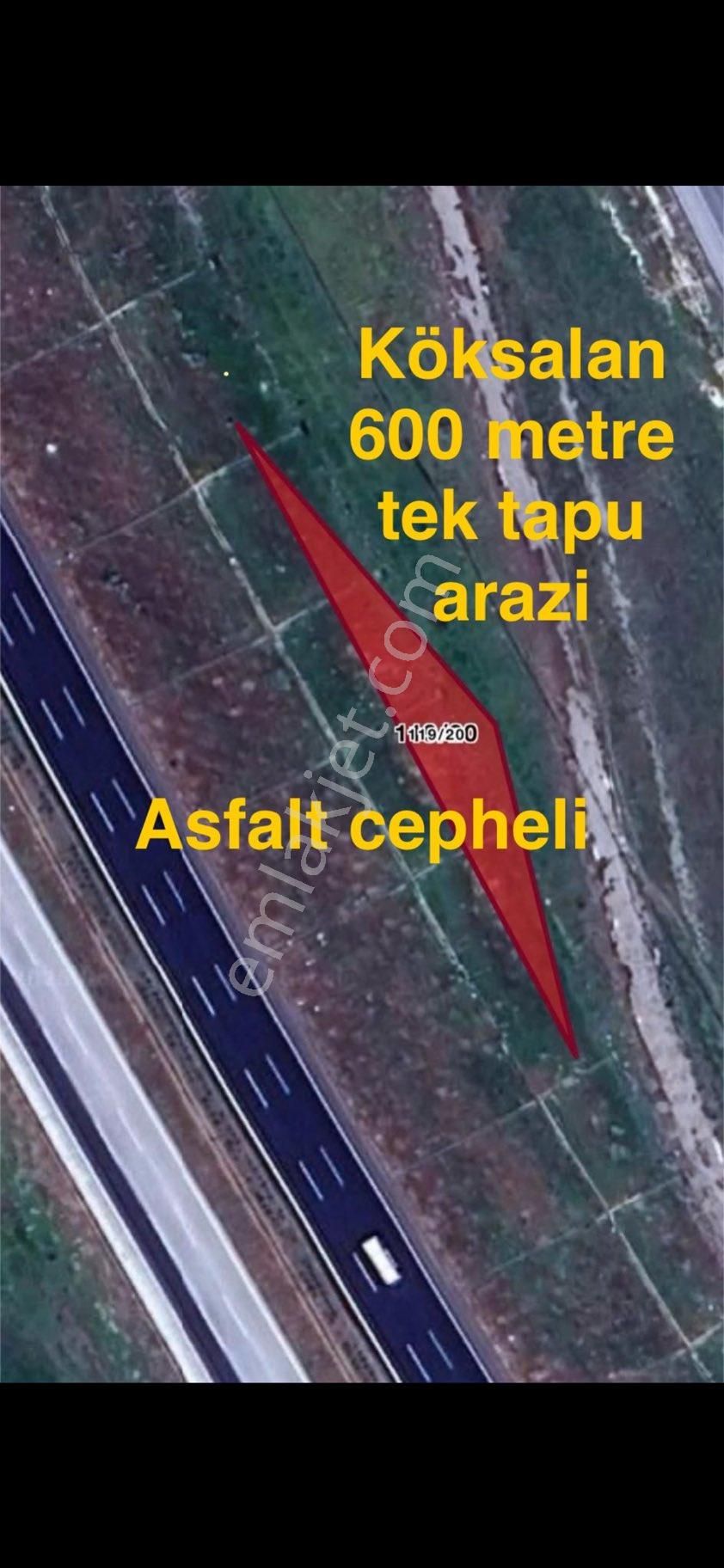 Şehitkamil Köksalan - Görsel 3